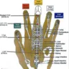 service image
