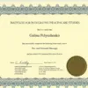 service image