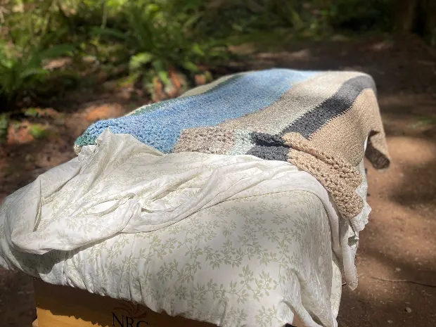 Rewilding Massage & Bodywork