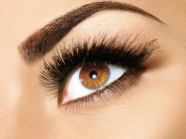 Browbar Esthetic - Plaza Rio Hondo