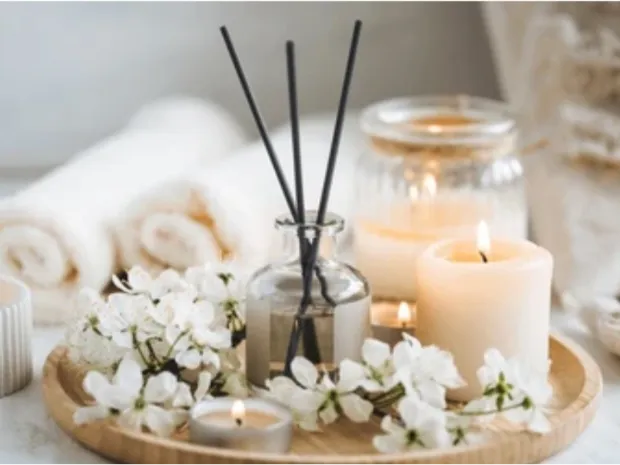 The Feminine Reset, LLC 