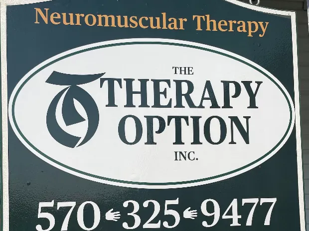 The Therapy Option