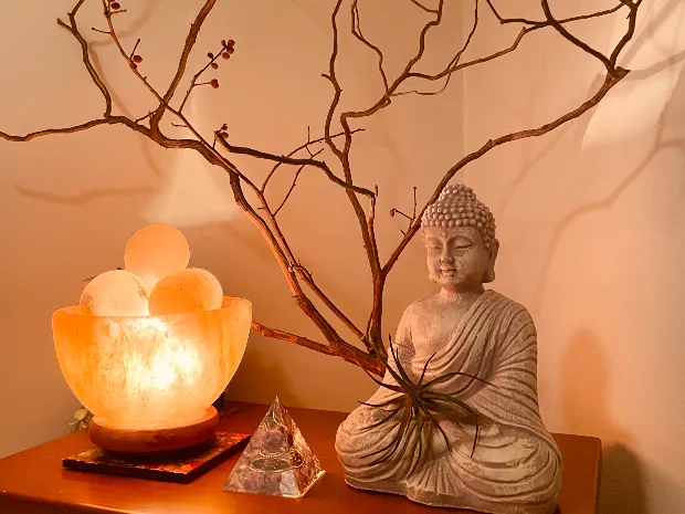 Culture Wellness 