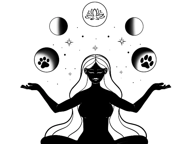 When the Body Speaks LLC