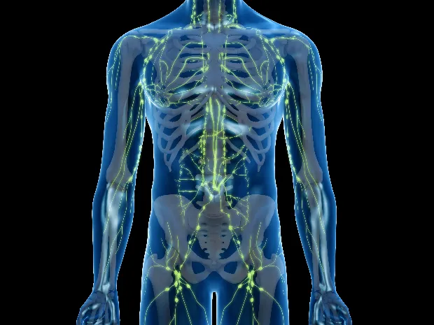 Flow Motion Massage