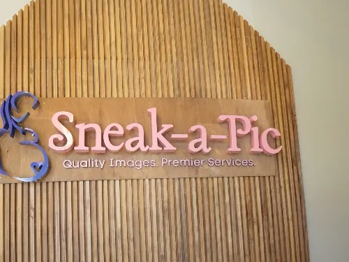 Sneak-a-Pic U.