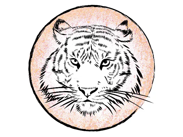 Tigress Massage & Bodywork LLC