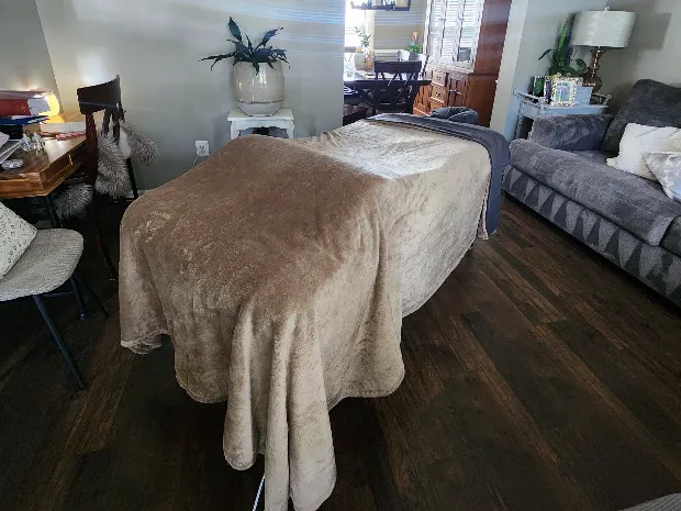 Alivio Mobile Massage Therapy 