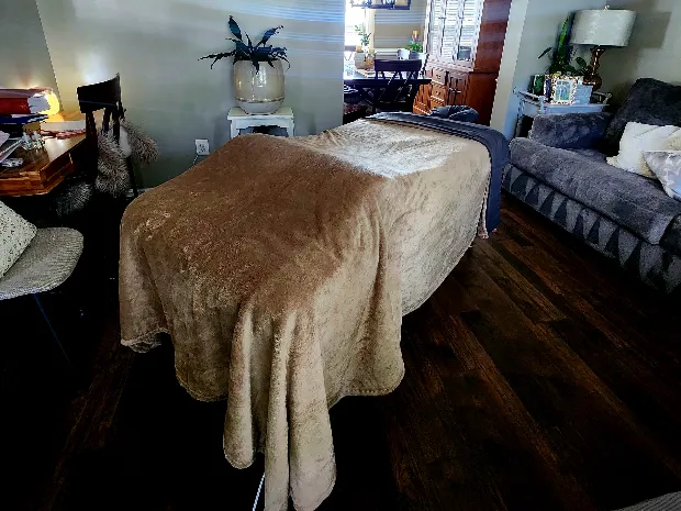 Alivio Mobile Massage Therapy 