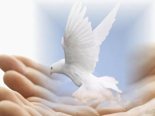 A Gifted Massage LLC