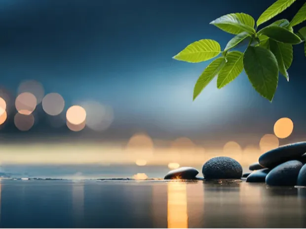 Indigo Earth Therapy