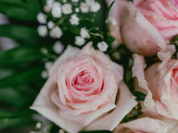 Indigo Earth Therapy