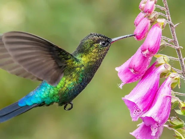 Massage by Melissa at Beres Chiropractic Center