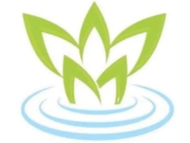 Essence Holistic Health and Massage, LLC