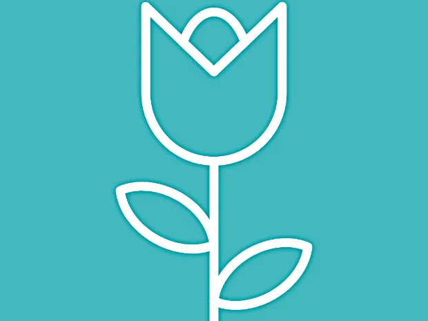 Tulip Therapy Massage