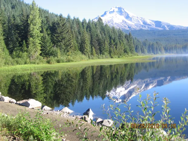 Regina's Massage Therapy