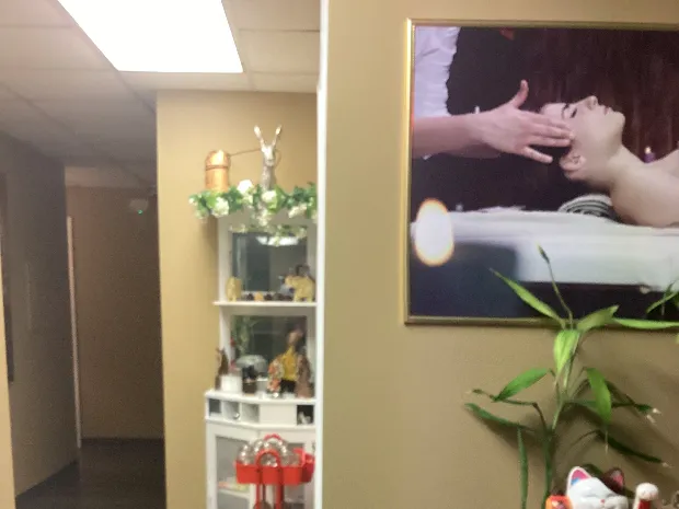 Holistic massage of Jacksonville 