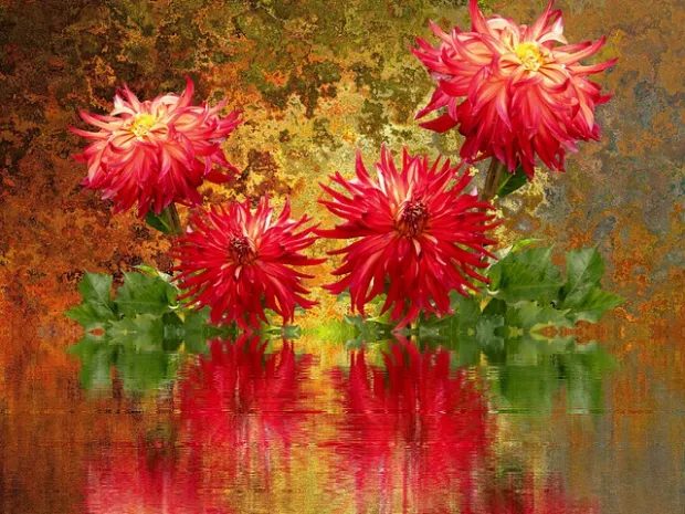Dahlia Wellness & Massage Therapy