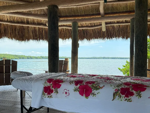 Mintz Massage & Wellness