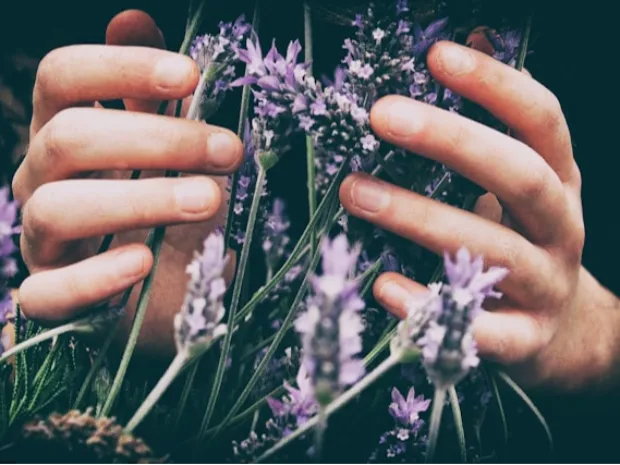 Sarah Gschwind LMT at Living Balance