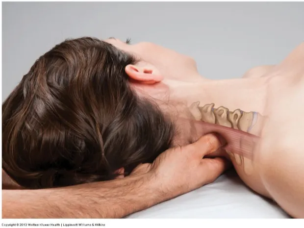 Kinetic Edge Massage