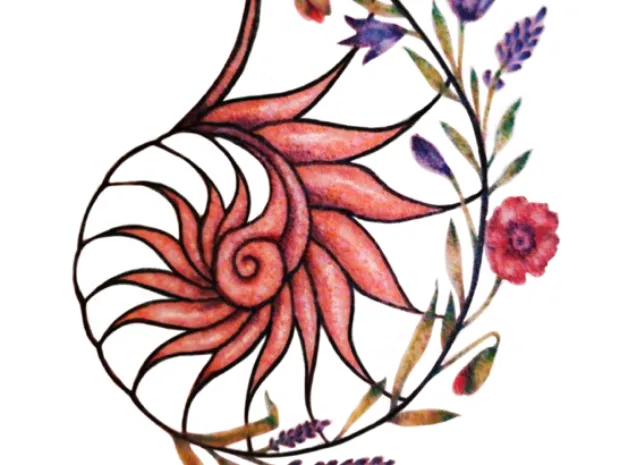 MShelle Massage Therapy