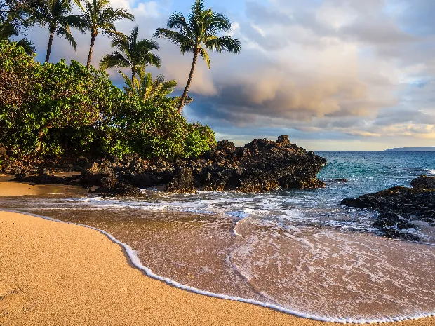 These Tranquil Hands 