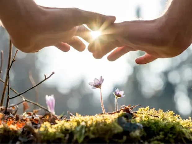 Branches of Being, LLC- Integrative Massage & Bodywork Therapies