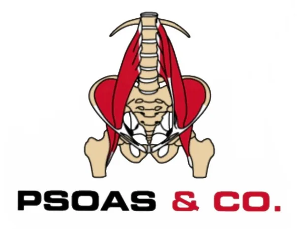 Psoas & Co.