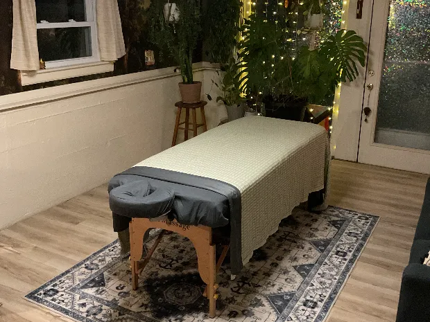 Mitten Massage and Wellness LLC