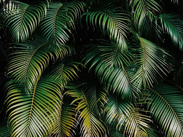 Oasis Massage Studio