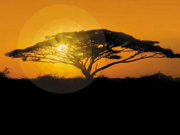 Davede Varner Massage Therapy