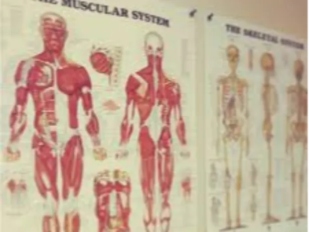 Ali Renee, LMT (Grand Island)