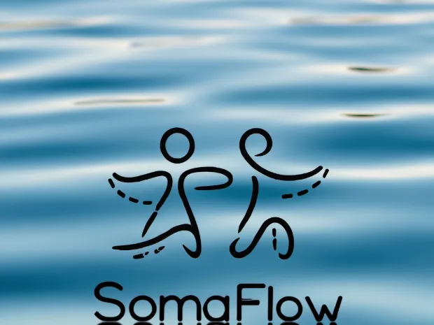 SomaFlow