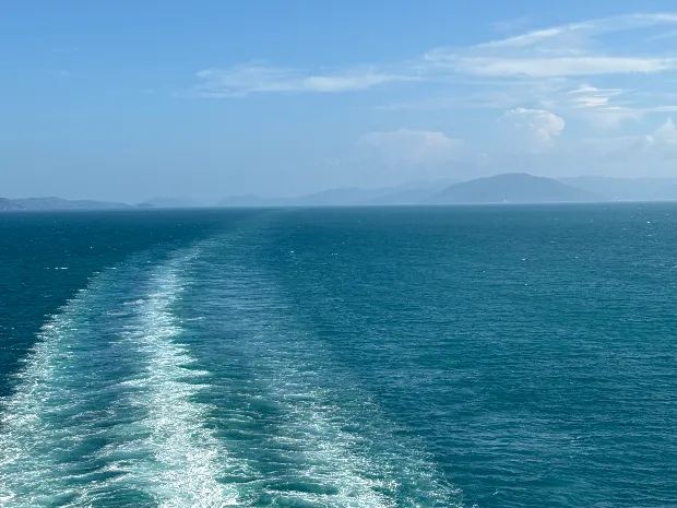 Cindy T Massage Therapy