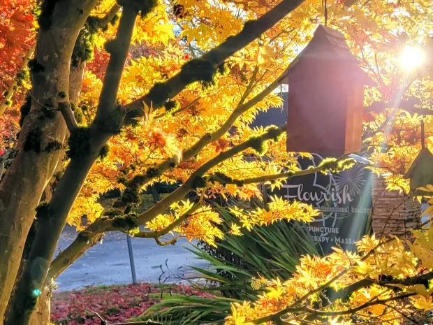 Shannon Helquist LMT