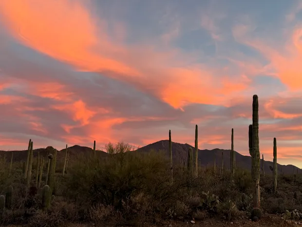 Massage Therapy Tucson 