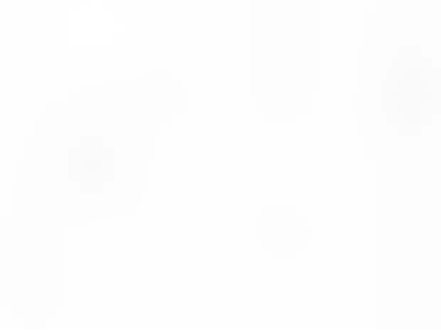 Citrus Coast Bodywork