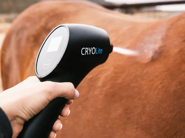 Cryo Cavallo LLC