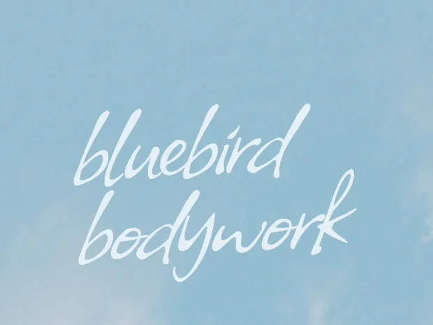 Bluebird Bodywork