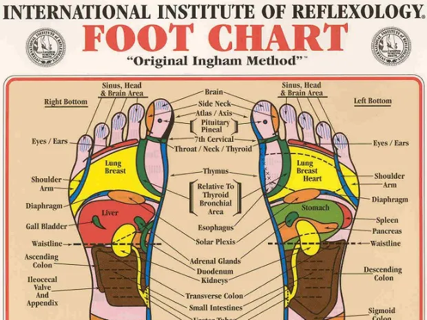 Reflexwellness Reflexology