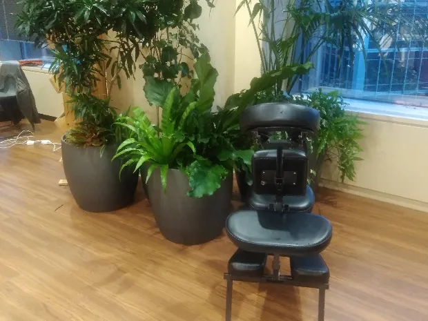 Boone County Cancer Society Massage Therapy