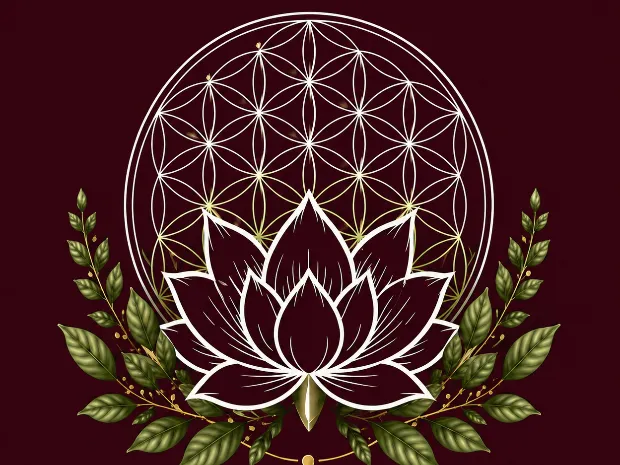 Sacred Lotus Healing Arts