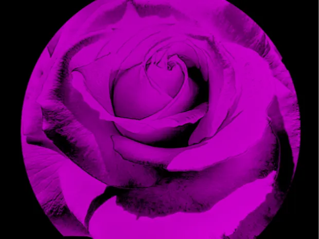Recovery Artes Massage Therapy 