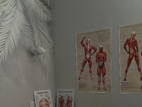 Donna  S.