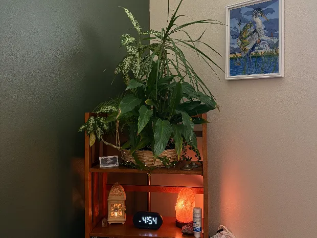 Rejuvenation Massage