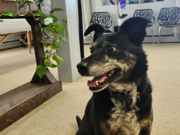 Lilac City Restorative Massage for Women