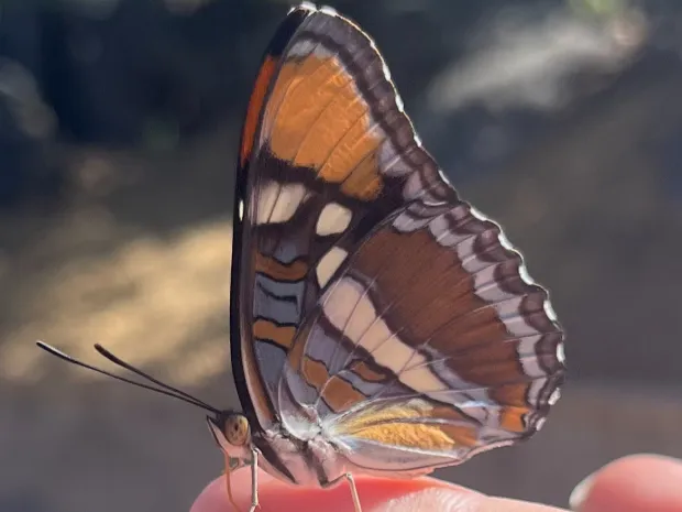 Blue Sky Massage & Bodywork