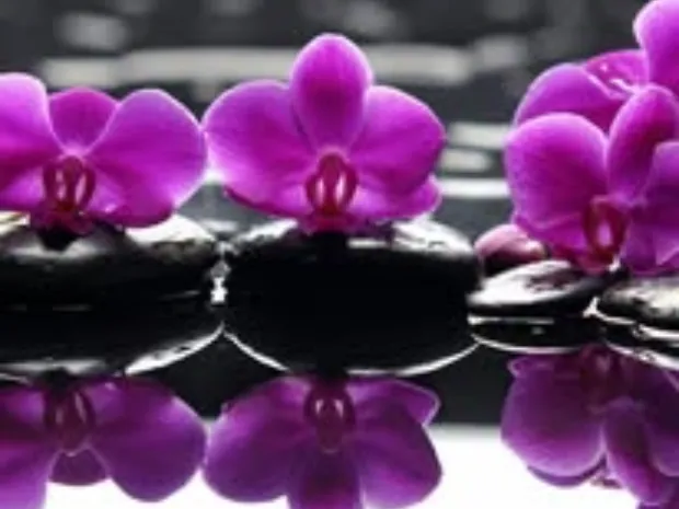 Paula's Massage Magic