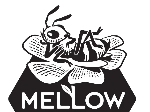 business image